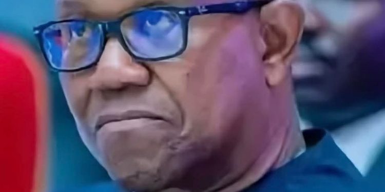 Obi Cannot Rejoin, Contest 2027 Election on Our Platform – LP Chair