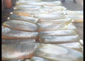 Army Seizes N250m Stolen Crude Oil, Diesel, Arrests Nine in N’Delta