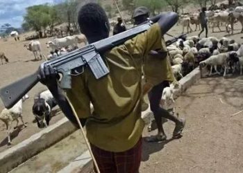 Armed Herders Kill Seven in Benue Attack