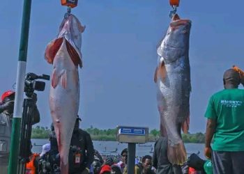 President Tinubu Express Commitment to Diversify Economy Through Tourism