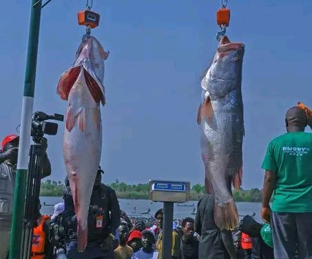 President Tinubu Express Commitment to Diversify Economy Through Tourism