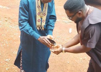 Royal Blessing Signals Start of Dr Tawo’s Reps Bid