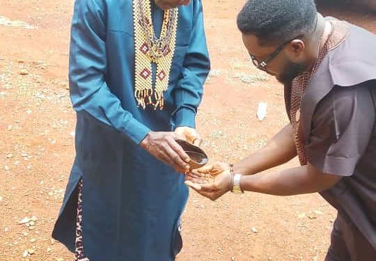 Royal Blessing Signals Start of Dr Tawo’s Reps Bid