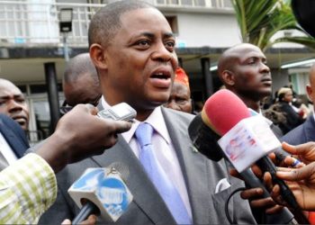 ‘You’ll Never Be President’: Fani-Kayode Blasts Peter Obi Over NADECO Comments