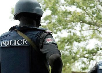 Creation of State Police to Gulp About N1 Trillion; First Recruits Scheduled For 2027-2028 – Report