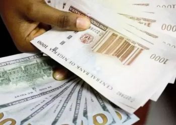 Naira Extends Gains for Second Straight Week, Appreciates to N1,343.76/$ at Official Market