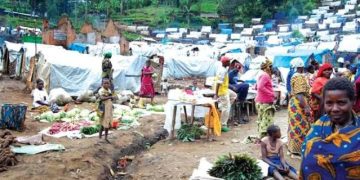 Nigeria to Receive €33m as EU Announces €235m Humanitarian Aid for West, Central Africa