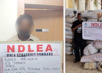 UK-Bound Cocaine Hidden in Palm Kernel Oil Cans Seized by NDLEA