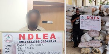 UK-Bound Cocaine Hidden in Palm Kernel Oil Cans Seized by NDLEA
