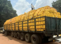 Customs Seizes 1,202 Kegs of Smuggled vegetable Oil in Ogun