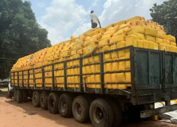 Customs Seizes 1,202 Kegs of Smuggled vegetable Oil in Ogun