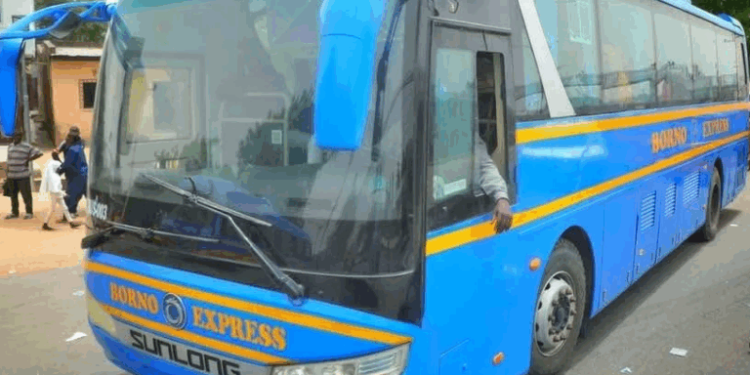 Borno Govt Rolls Out 20 Electric Buses to Cushion Fuel Price Hike