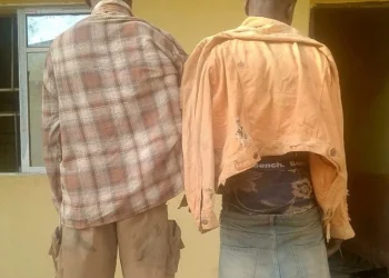 Abia: Two Nabbed for Attempted Theft of Two-Week-Old Baby