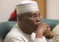 Be A Statesman, Not A Serial Candidate – CNCDS Tells Atiku