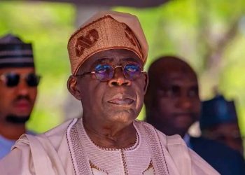 President Tinubu, Famadewa and Nigeria’s Homeland Security