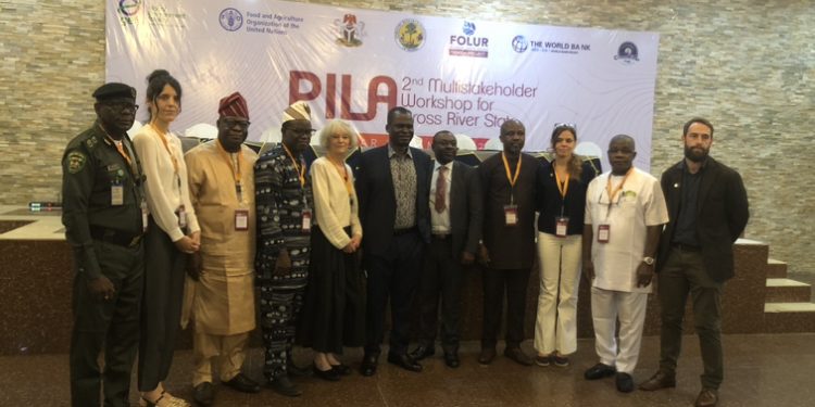 FAO, Stakeholders Meet in Calabar Over Deforestation