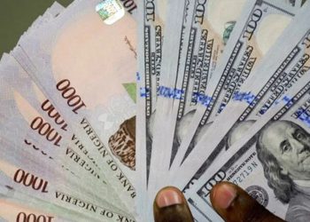 Naira Dips Amid Rising FX Demand