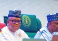 Xenophobic Attacks: N’Assembly Calls for Diplomatic Action