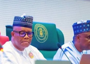 Xenophobic Attacks: N’Assembly Calls for Diplomatic Action