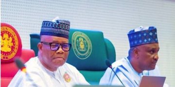 Xenophobic Attacks: N’Assembly Calls for Diplomatic Action