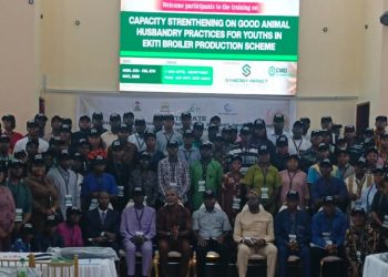 2027: Ekiti Begins Empowerment Scheme, Targets 5,000 Poultry Jobs