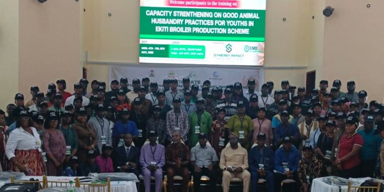 2027: Ekiti Begins Empowerment Scheme, Targets 5,000 Poultry Jobs