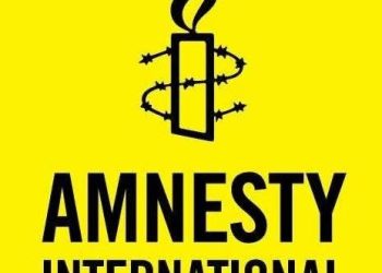 Amnesty International Decries Fresh Plateau Attack