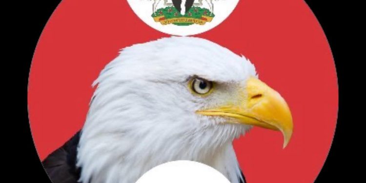 NNPC Probe: EFCC Secures Final Forfeiture of Private Jet