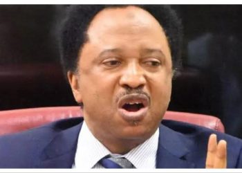 Shehu Sani Wins APC Senatorial Ticket in Kaduna Central
