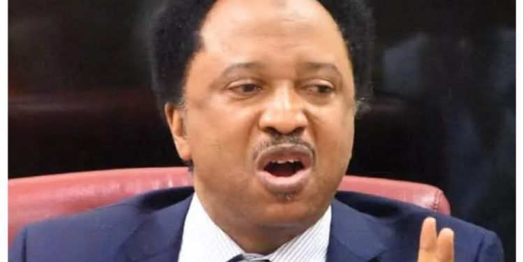Shehu Sani Wins APC Senatorial Ticket in Kaduna Central