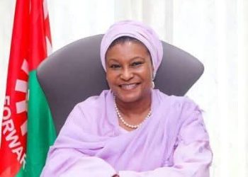 Court Dismisses Suit Seeking to Bar Kingibe from ADC Activities