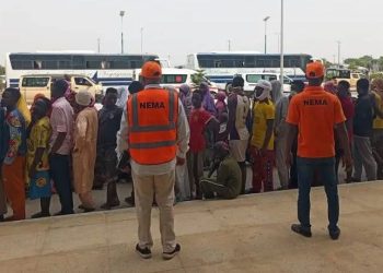 NEMA Repatriates 497 Nigerians from  Niger
