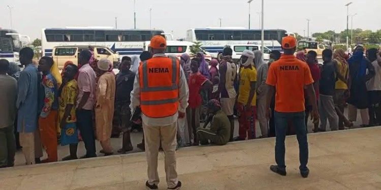 NEMA Repatriates 497 Nigerians from Niger