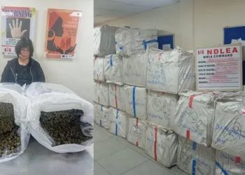 NDLEA Arrests Chinese Woman with Drug Shipment at Lagos Airport