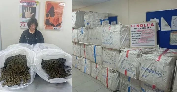 NDLEA Arrests Chinese Woman with Drug Shipment at Lagos Airport
