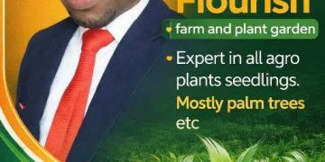 We’re Your Sure Plug for Plants Seedlings