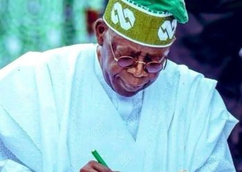 Centre Defends Tinubu Over Homeland Security Appointment, Says Nigeria Needs Smarter Coordination Against Emerging Threats