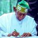Centre Defends Tinubu Over Homeland Security Appointment, Says Nigeria Needs Smarter Coordination Against Emerging Threats