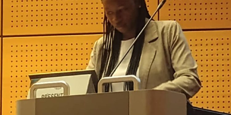 Dr. Ndebele Urges ECOWAS MPs to Introduce Legislations for Domestic Beneficiation of Africa’s Resources