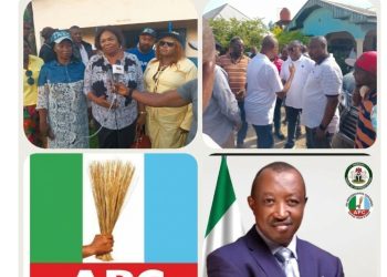 APC Stakeholders Hail Ikom/Boki Primaries, Abang’s Victory