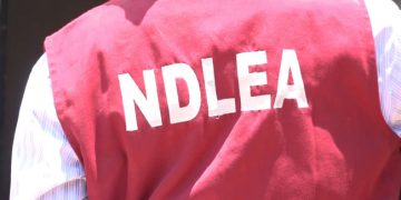 HURIWA Raises Alarm Over Increasing Attacks on NDLEA Officers, Demands Hazard Support Fund