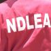 HURIWA Raises Alarm Over Increasing Attacks on NDLEA Officers, Demands Hazard Support Fund