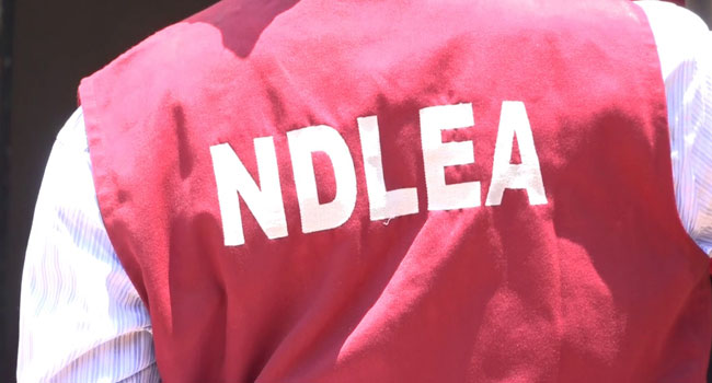 HURIWA Raises Alarm Over Increasing Attacks on NDLEA Officers, Demands Hazard Support Fund