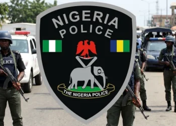 Police Arrest Two Suspected Cultists in Plateau, Recover Weapons, Drugs