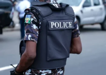 Police arrest two suspected thugs over attack on Bauchi PDP event