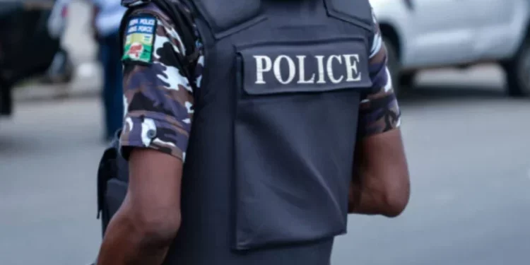 Police arrest two suspected thugs over attack on Bauchi PDP event