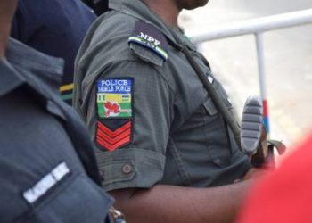 Two arrested in Nasarawa over theft, illegal firearm possession