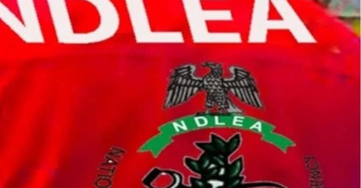 NDLEA Arrests Two Grandpas for Drug Trafficking in Abia, Ekiti