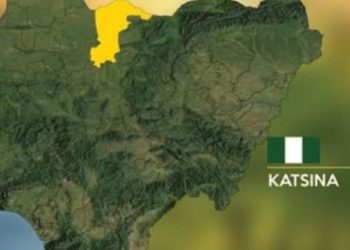 Troops Ambush Terrorists, Kill 3 in Katsina