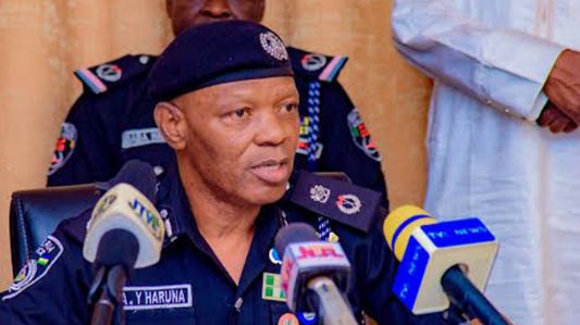 Police Lament Rising Deforestation in Jigawa